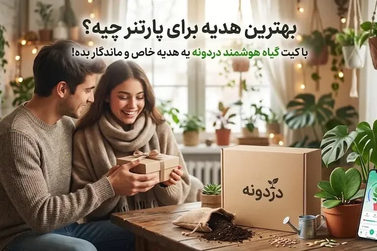 بهترین هدیه برای پارنتر چیه؟
